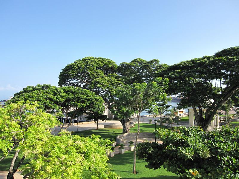 Stone Town trees.JPG